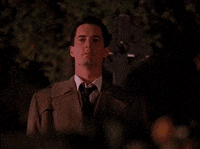 season 1 agent cooper GIF by Twin Peaks on Showtime