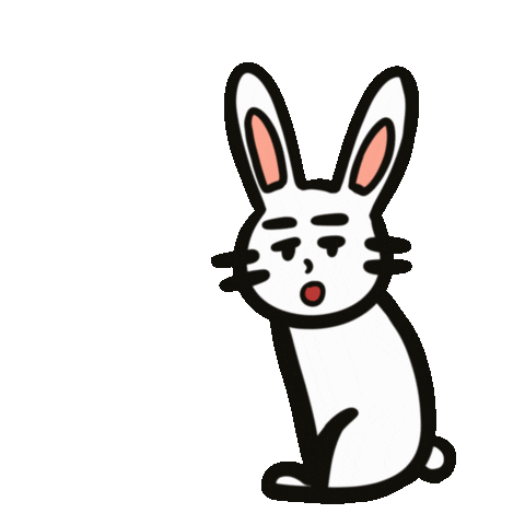 Year Of The Rabbit Sticker