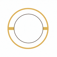 AceTeamHawaii realestate justlisted exp exprealty GIF