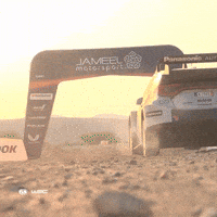 Rallying Lets Go GIF by FIA World Rally Championship