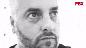 Palibex art artist arte artista GIF