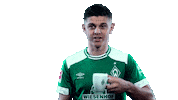 drunk football Sticker by SV Werder Bremen