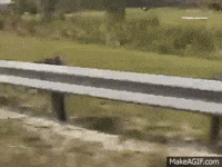 i dont give a fuck GIF
