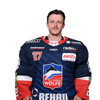 Ice Hockey Money Sticker by Selber Wölfe