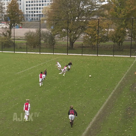 Ajaxo13 GIF by AFC Ajax