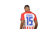 Football Soccer Sticker by Gulf United FC