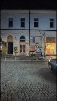 Rabbit Chaos GIF by Komplex