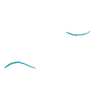 Design Nuevo Sticker