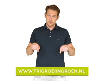 Boom Plant Sticker by TRI Groei in Groen