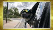 Ards GIF by Hallmark Channel