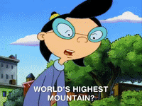 hey arnold nicksplat GIF