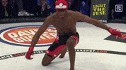 gotta catch em all smile GIF by DAZN USA