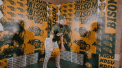 Baseball Bison GIF by NDSU Athletics