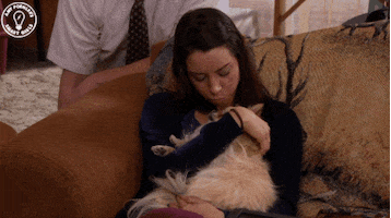 parks and recreation lol GIF by Amy Poehler's Smart Girls