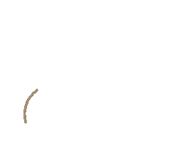 Arrow Beige Sticker
