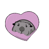 komorumotto guineapig cavy komorumotto Sticker