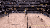 Serve Germany GIF by Volleyball World