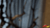 GIF by Marvel Studios