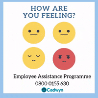 GIF by Cadwyn Housing Association