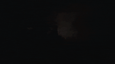 Girlsgowild GIF by LP