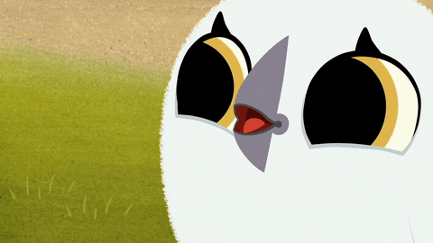 #puffin #rock #puffinrock #baba #buttercup GIF by Puffin Rock