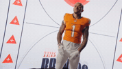 Denver Broncos Football GIF by Broncos