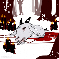 Animation Domination Fox GIF by gifnews