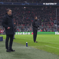 happy champions league GIF by FC Bayern Munich