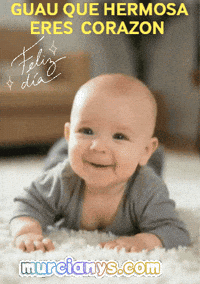 Feliz Amigos GIF by Murcianys LLC