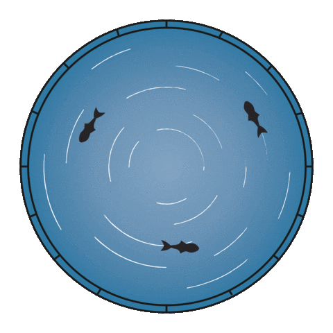 Ocean Fish Sticker by ASC Aquaculture Stewardship Council - France
