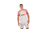 Football Relaxing Sticker by RB Leipzig