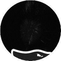 Diadefuria Sticker by FURIA