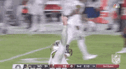 Regular Season Football GIF by NFL