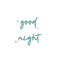 Good Night Fun Sticker
