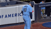 Blue Jays Baseball GIF by Toronto Blue Jays