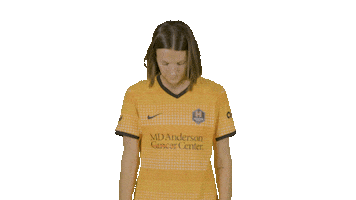 Houston Dash Sport Sticker by National Women's Soccer League