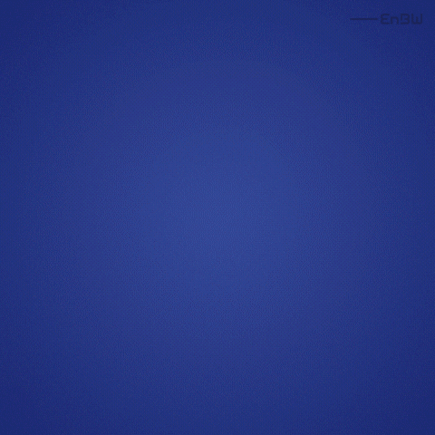 reaction meme smiling GIF by EnBW