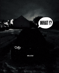 NoPlate46 what bmw e46 noplate46 GIF