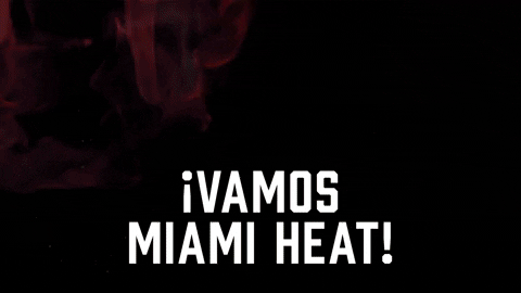 Miami Heat Sport GIF by Sealed With A GIF