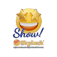 Show Refinish Sticker by SKYLACK TINTAS E VERNIZES