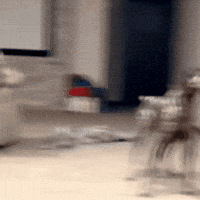 I Cant Believe You GIF