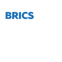 bricsyea brics bricsyea bricsyouth brics2020 Sticker