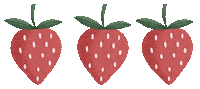 Fruit Strawberry Sticker