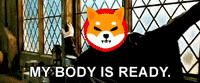 Shib Coin GIF by SHIB MEMES
