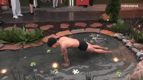 giphy.gif