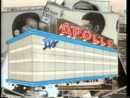 The Apollo GIF by tylaum