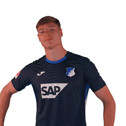 Sport Bundesliga Sticker by TSG Hoffenheim