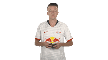 Ea Sports Fifa Sticker by Bundesliga