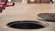 captain obvious yes GIF by Hotels.com