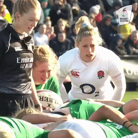 Womens6Nations giphyupload rugby england english GIF